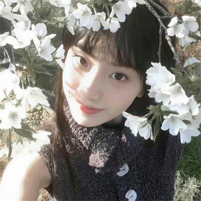 怪兽8号 第二季